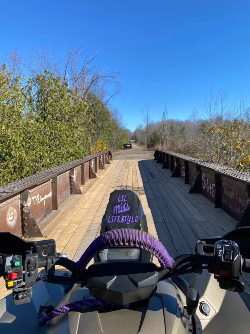 Custom Renegade cover - Mylifter Garage